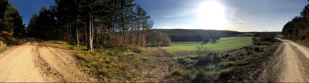 Camino De Santiago Montes de Oca andar walk mochila backpach